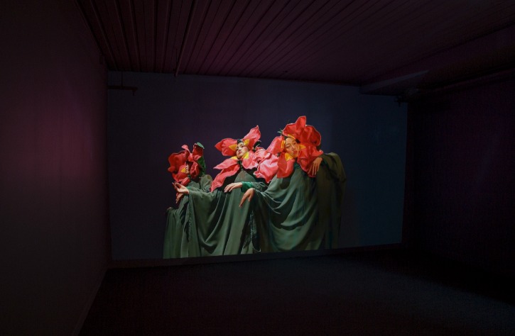 Laura Carthew, Installation view of ‘ Immortal flower (무궁화)’ at ShuimMusee,Korea 2019.jpg